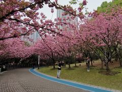 -苏州河梦清园环保主题公园