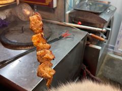 -艾力江和田馕坑烤肉店