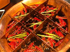 -辣伍鲜毛肚老火锅(元一店)