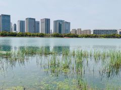 -尚贤河湿地