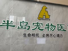 -半岛宠物医院24小时(科华中路店)