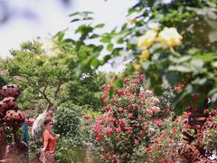 -上海辰山植物园