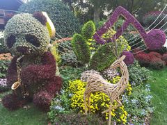 -杭州植物园