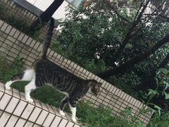 -复旦大学光华楼