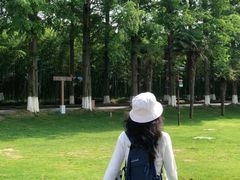 -黄海国家森林公园