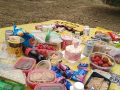 -永定河休闲森林公园