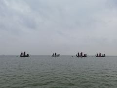 -贡湖湾湿地公园