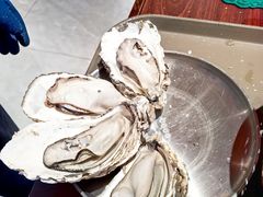 -蚝堡海鲜·威海菜·海肠捞饭·烧烤·亚洲吃蚝公司(幸福门店)