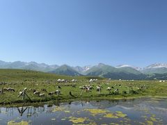 -新疆那拉提国家旅游度假区