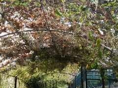 -泉州海丝野生动物世界