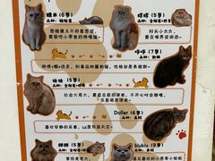 -小时光咖啡馆(北锣鼓巷店)