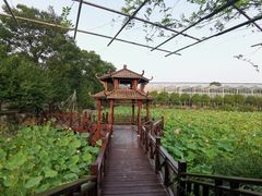 -南通洲际绿博园