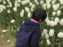 -上海鲜花港