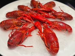 -红盔甲·小龙虾(人民广场店)