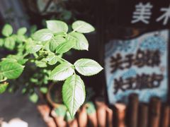 -乌镇东栅景区