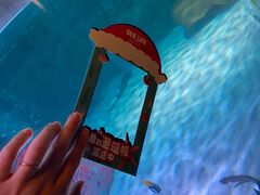 -沈阳海洋探索中心