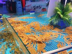 -驻海渔市(置信店)