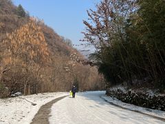 -西安祥峪森林公园