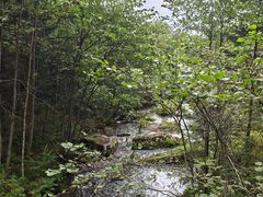 -汤旺河林海奇石景区