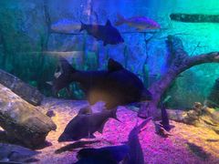 -沈阳海洋探索中心