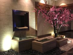 -爱乐国际温泉水疗会