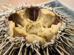 -海胆小馆(东北水饺·春柳店)