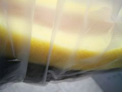 -固海糕团店
