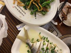 仓鱼-旺金鸽(穗盐路总店)
