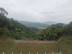 -广州市帽峰山景区