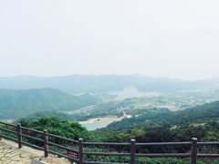 -大姆山草场