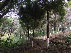 -翠屏公园