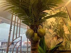 -椰子湾·海南火锅·糟粕醋·椰子鸡(正大广场店)