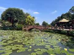 -广州莲花山旅游区