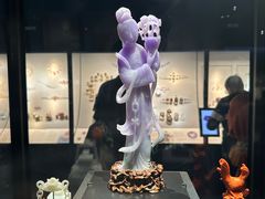-美国自然历史博物馆