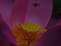 -大宁灵石公园西门票处