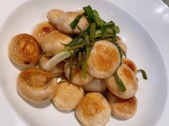 -一棵树·意大利西餐厅One Tree(新城店)