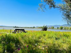 -野鸭湖国家湿地公园