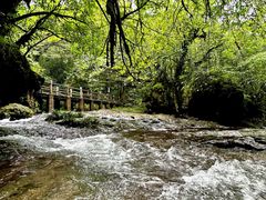-龙苍沟森林公园