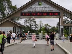 -中国大熊猫保护研究中心雅安碧峰峡基地