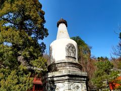 -大觉寺-停车场
