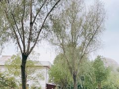 -西峡恐龙遗迹园