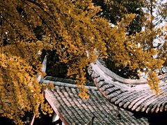 -成都市文殊院