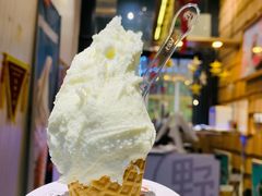 香草牛乳-野人先生现做冰淇淋(北京顺义祥云小镇店)