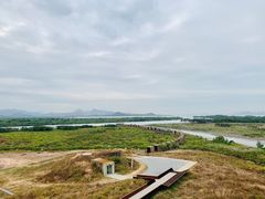 -福田红树林生态公园