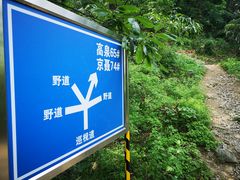 -阳台山自然风景区