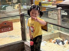 -姑苏二十四集(iD PARK 歌林公园店)