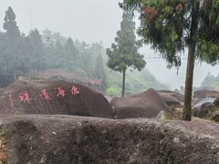-玉苍山国家森林公园