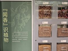 -四川大学博物馆