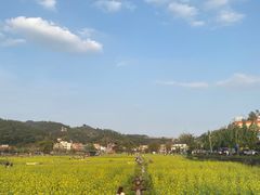-红山村