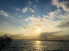 -宝安西湾红树林湿地公园